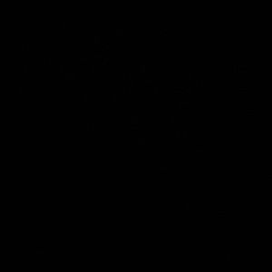 Meet your Posher, Reese